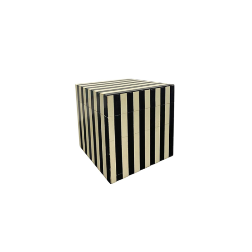 Caixa De Osso P1489 SR12501