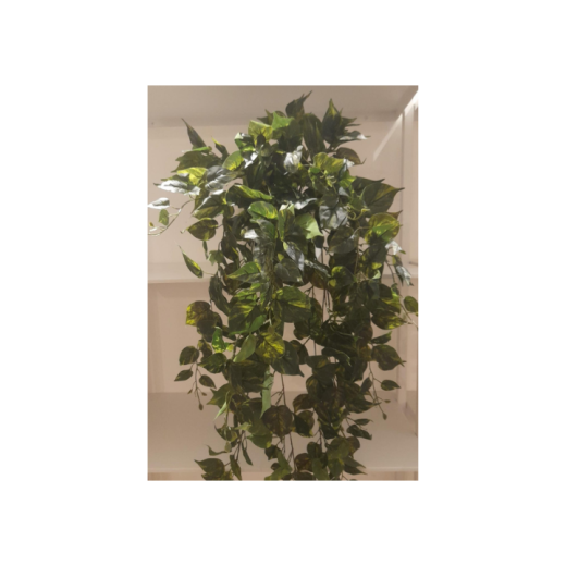 Pendente Jiboia Verde SR11534