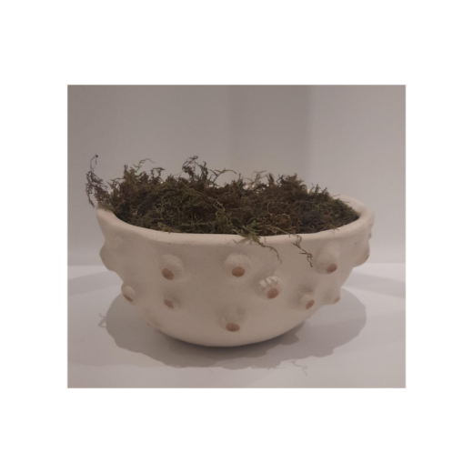 Bowl Craca G SR11576