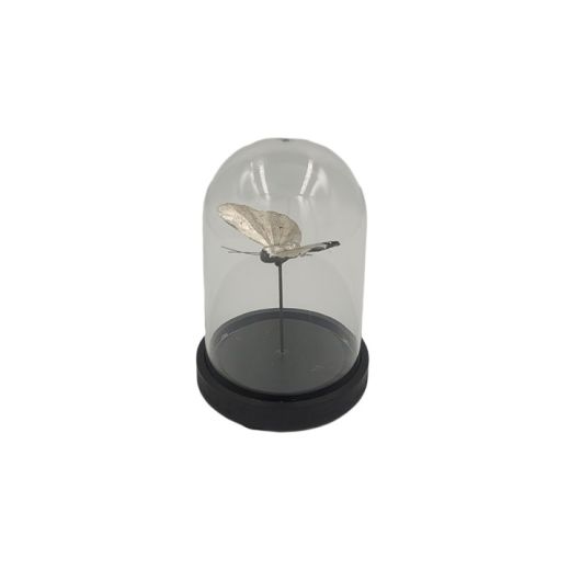 Escultura Borboleta C/ Redoma De Acrilico P1650 SR11487