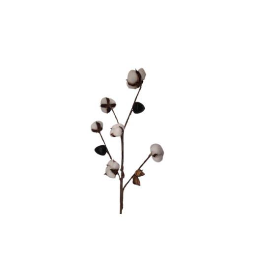 Flor De Algodao X 8 Com Semente SR11526