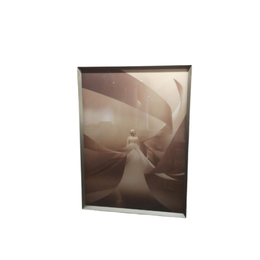 Quadro Florecen (Md0448) SR797