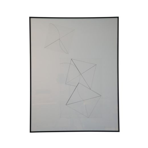 Quadro Com Gravura Em Metal De Macaparana SR10178