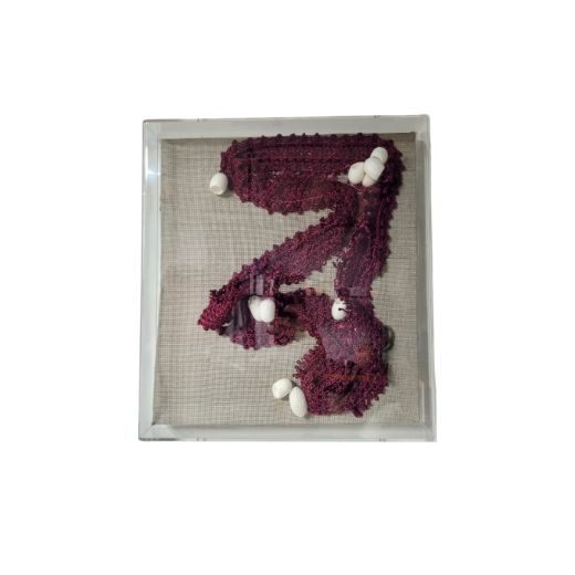 Quadro Croche Em Seda Organica Com Casulos Da Paz
 SR10293