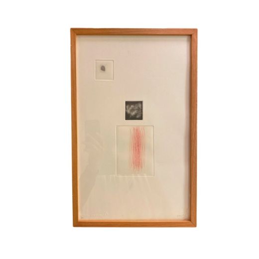 Quadro Gravura De Carla Chaim SR10480
