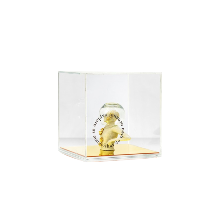 Exploro As Maravilhas Acrilico
Fundo Cristal Espelhado SR11617
