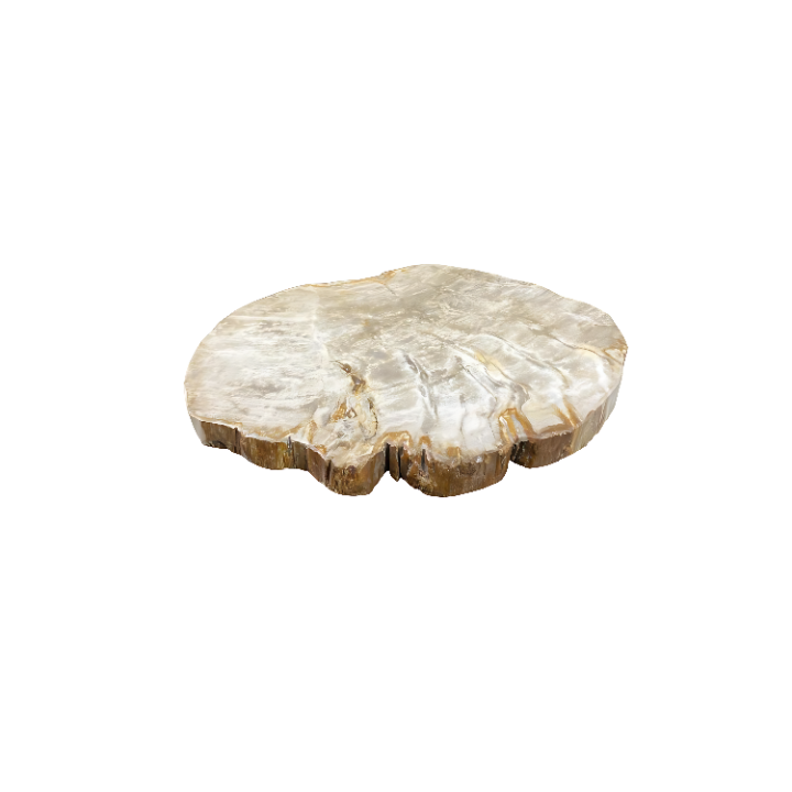 Adorno De Madeira Petrificada CIP1195 SR12505