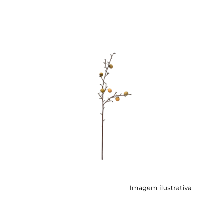 Ameixa Galho Com 6 Frutas 6441 SR12628