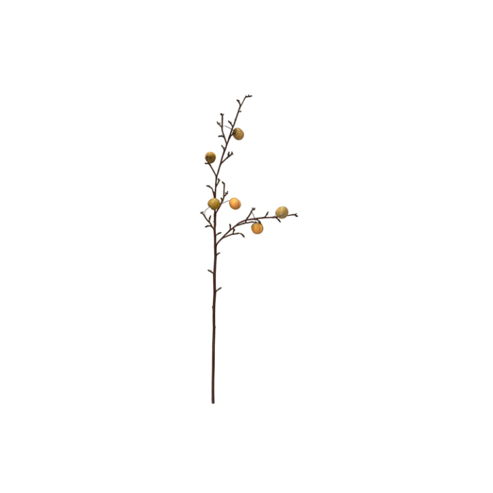 Ameixa Galho Com 6 Frutas 6441 SR12628