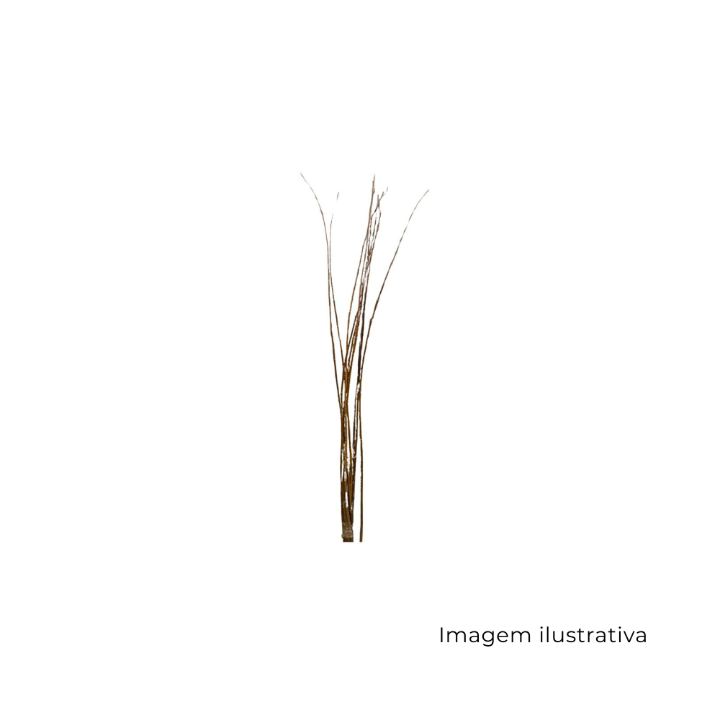 C.Folha Cycas Desidratada Com 5 Uni Natural 43253001 SR13004