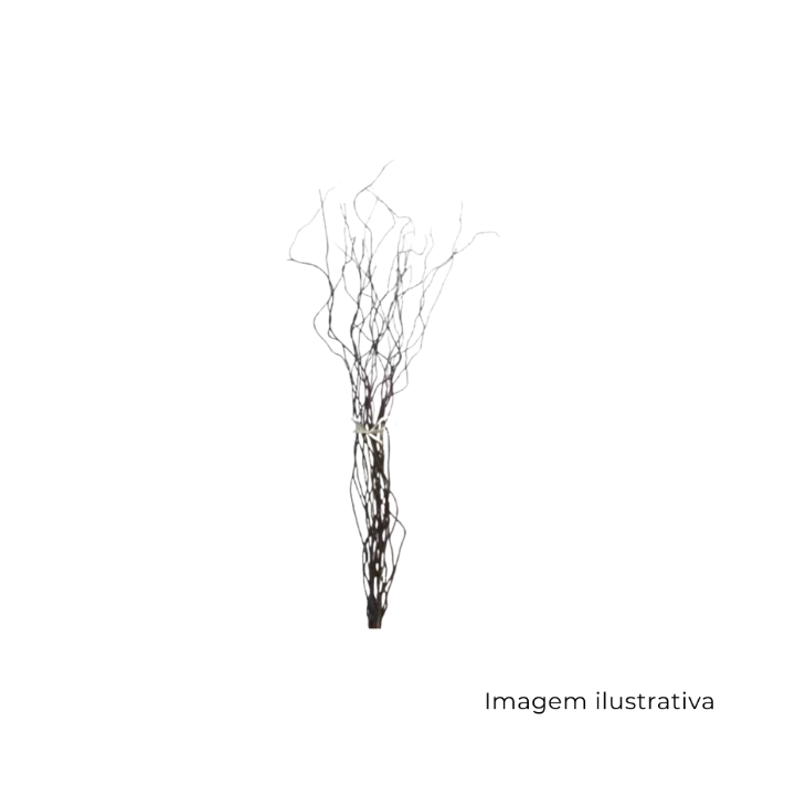 Vime Torto Grande 170165 SR13006