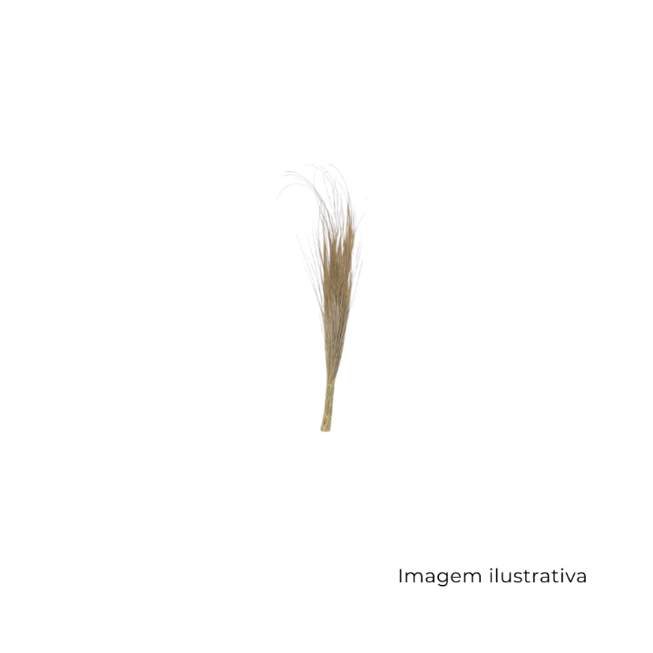 Capim Prata 152623 SR13032