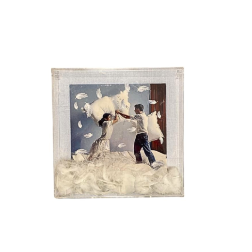 Quadro Acrílico - Guerra De Travesseiros 2179 SR12299