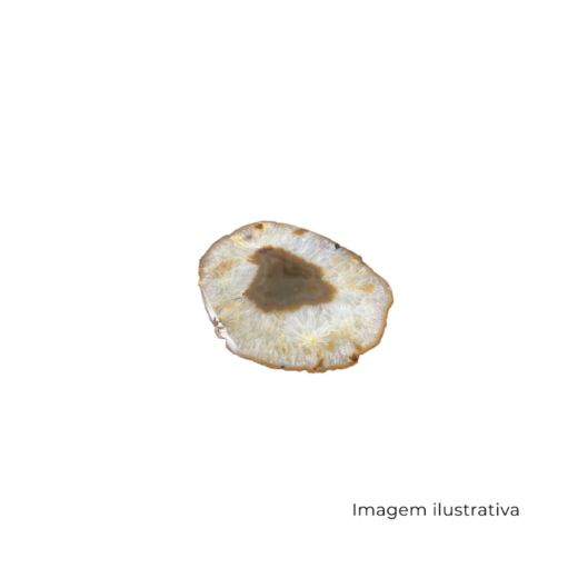 Chapa Grossa Ágata Caramelo SR12748