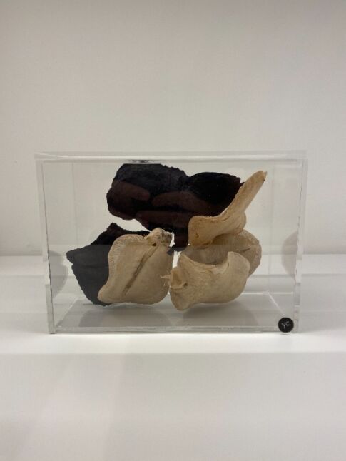 Cx P Horiz Boca Sapo Preta/Alvejada SR11395