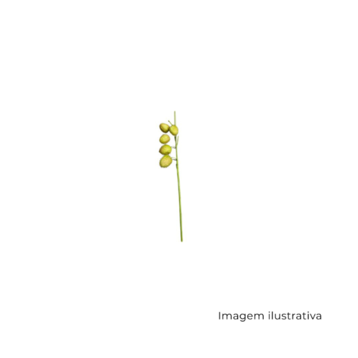 Haste Asclépias MX917 SR12778